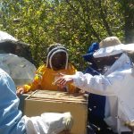 Capacitación técnica apicultuores penísula de Huequi, PRODESAL Chaiten