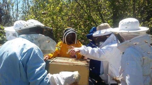 Capacitación técnica apicultuores penísula de Huequi, PRODESAL Chaiten