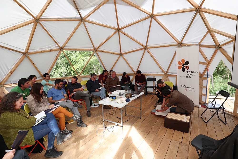 Manejo sanitario de colmenas en terreno