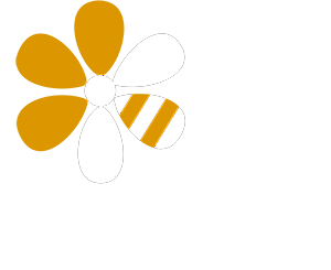 Apicultura Natural, Escuela Chile